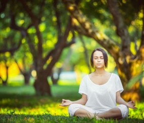 开云体育入口-年度焦点之战，爵士用防守铁链锁死公牛，篮球回归最原始的美学